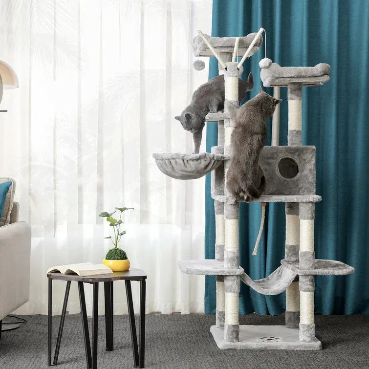 The Best Gift For Your Cats
