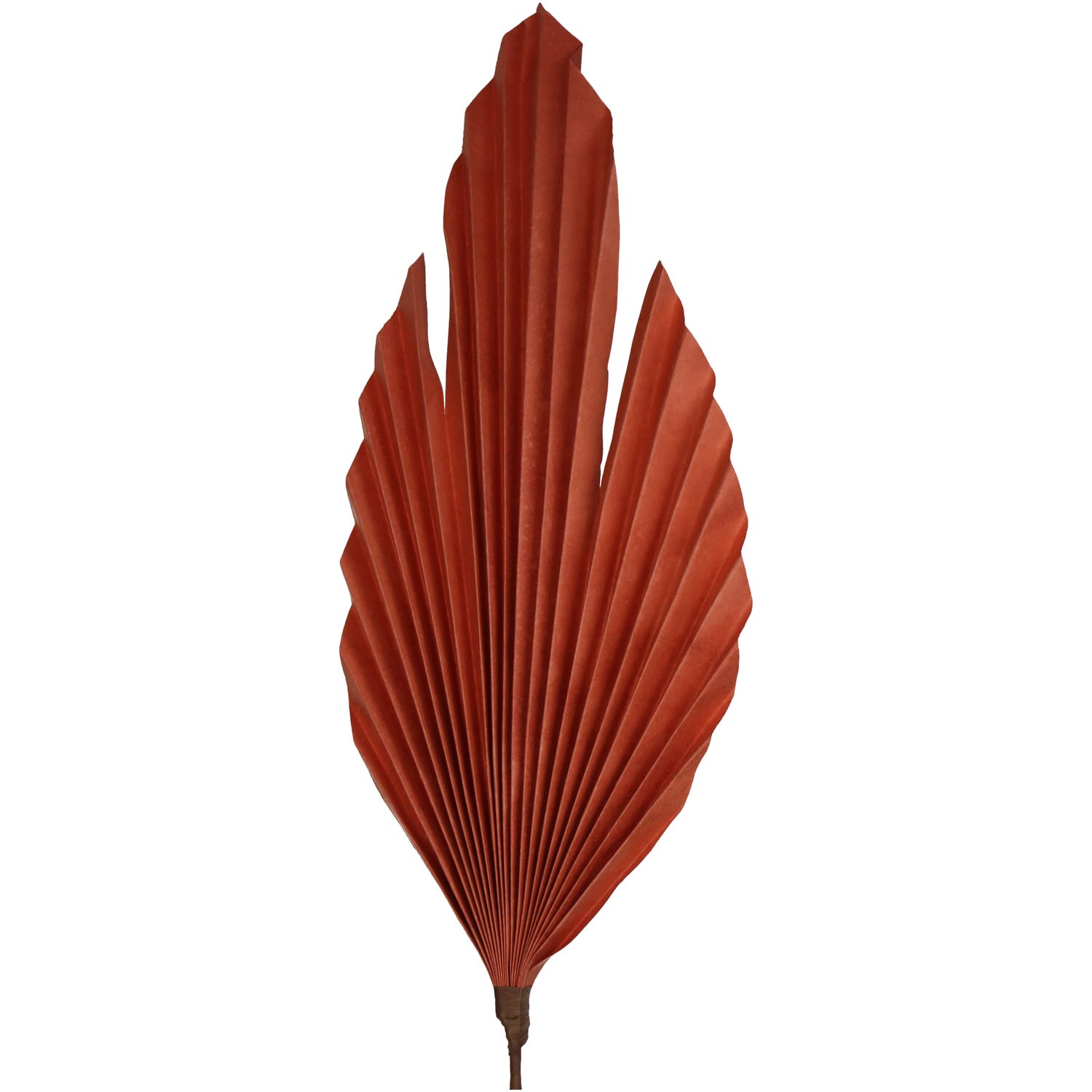 Foglia decorativa in carta arancione