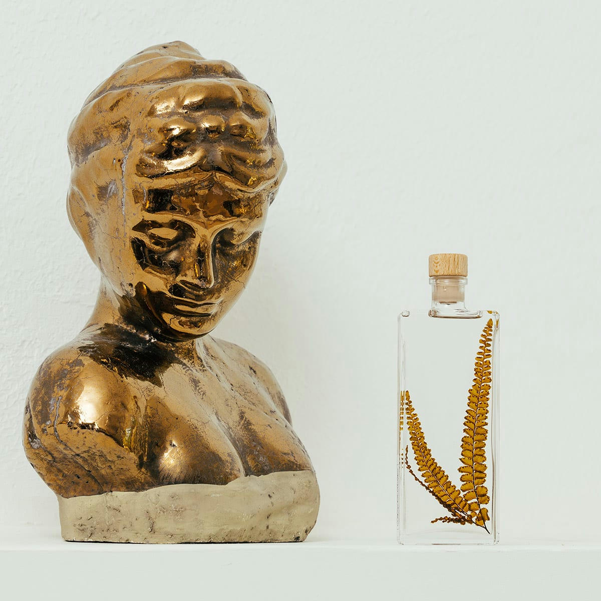 HERBARIUM DE THEOPHILE - Plante immergée Fougère Felci ambre