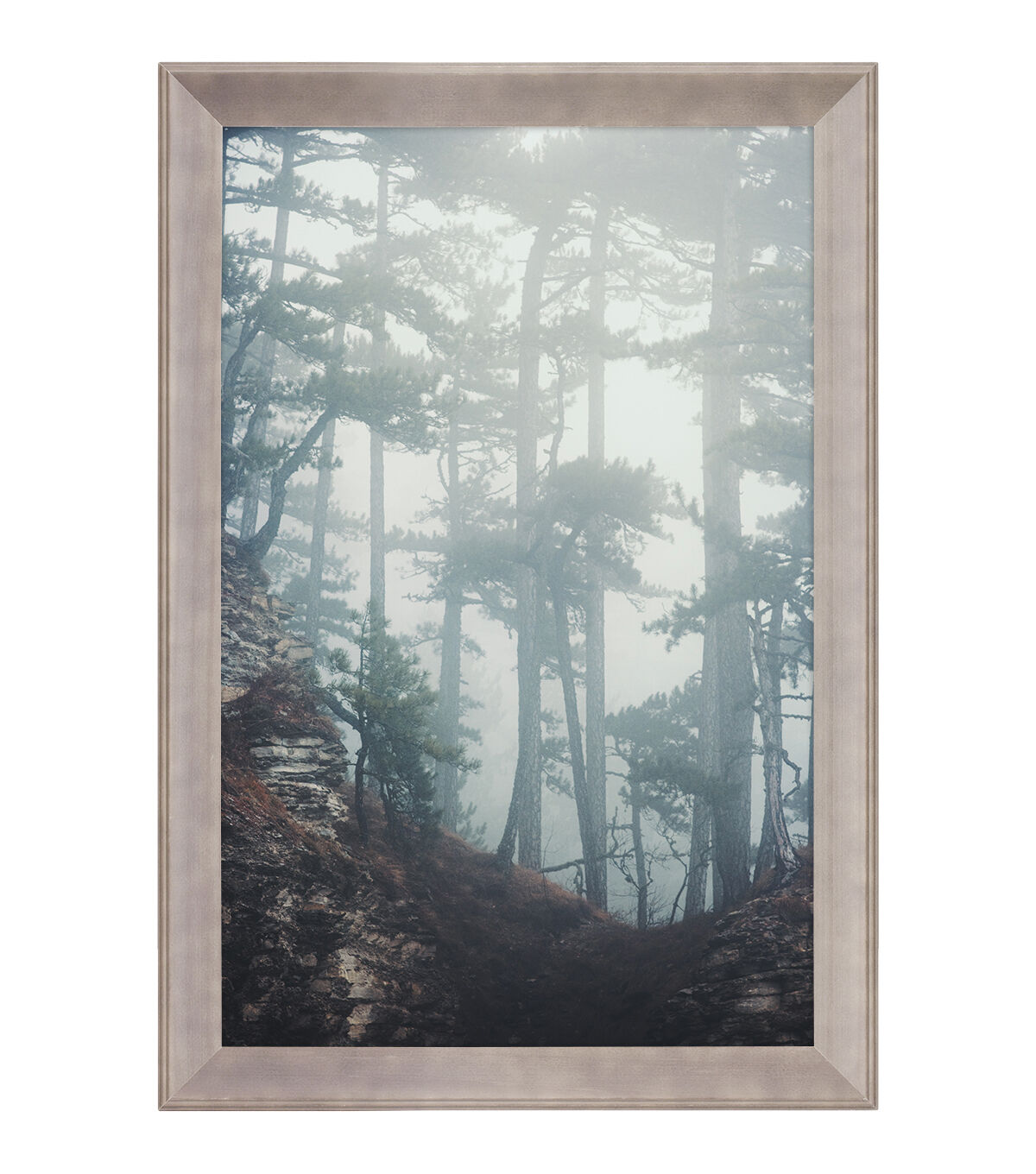 Walden Woods 11 x 17 Gray Wall Frame