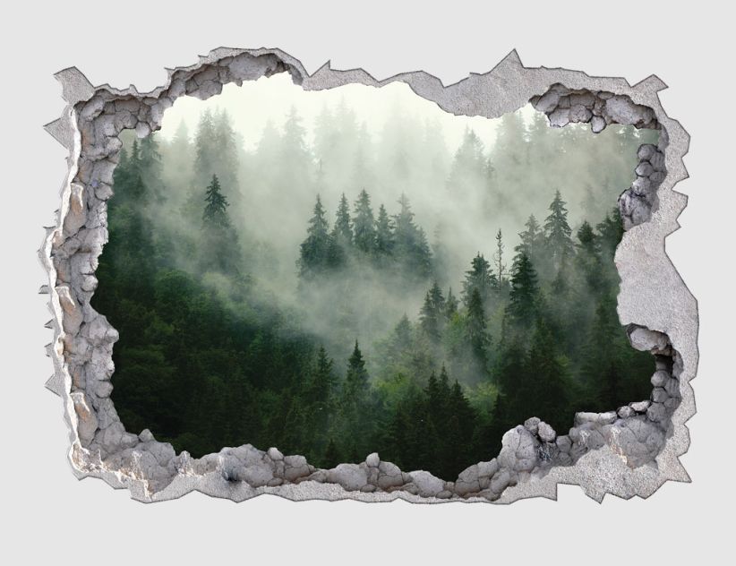 Wandtattoo Wand Durchbruch Wald