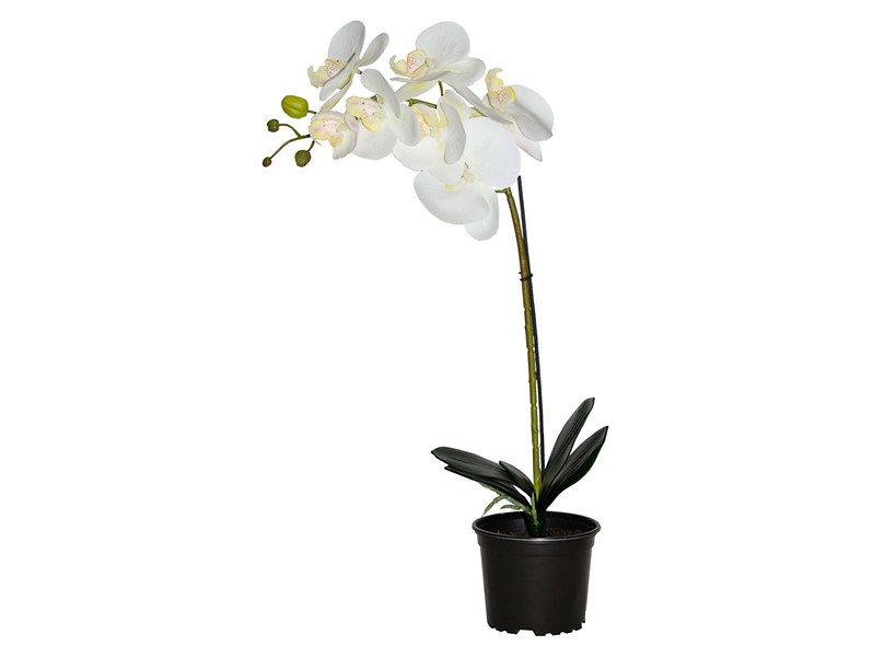 Sztuczny storczyk Premium w doniczce 70 cm mix kolorów