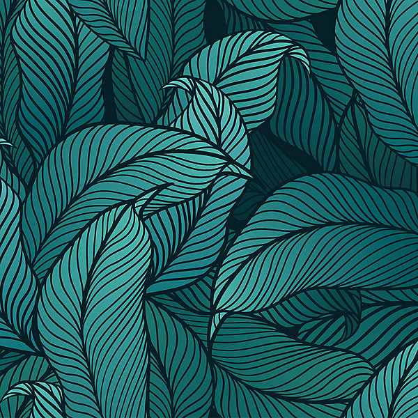 Credence Adhésive Jungle Dessin 300 x 60 cm