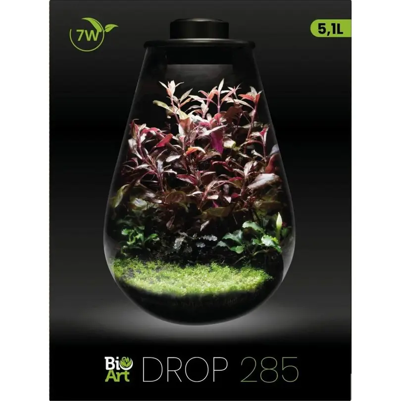 Blumentopf Drop