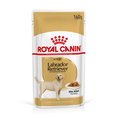 Royal Canin Labrador Retriever Adult in Gravy