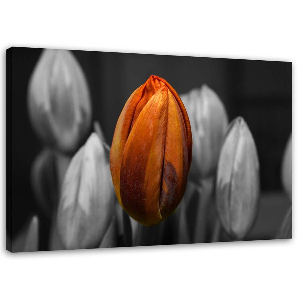 Feeby Obraz na płótnie Pomarańczowy tulipan 60x40