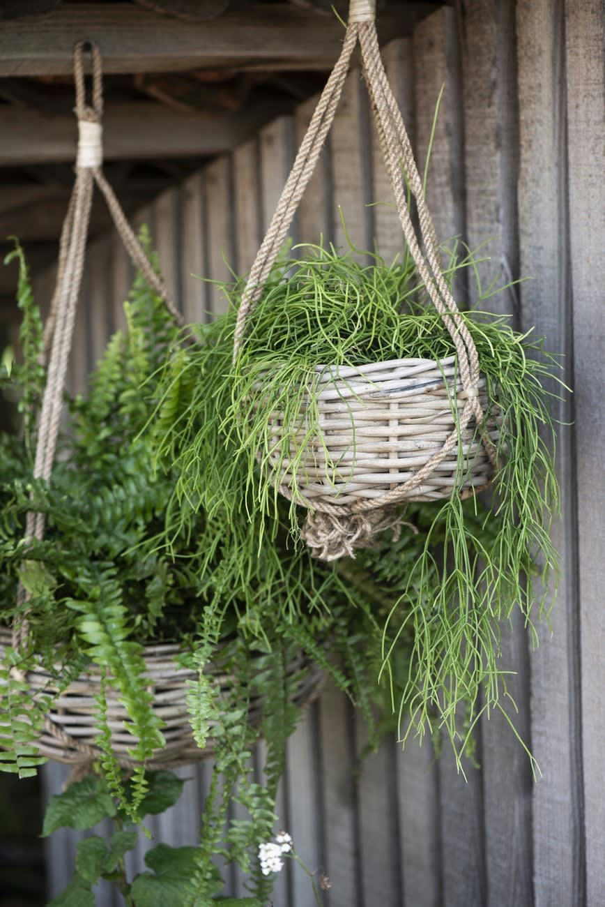 - Porte-plantes Rotin Beige 20X20