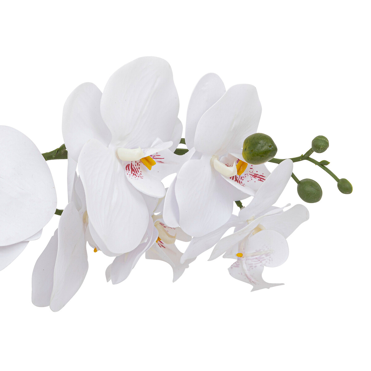 "Clera" artificial orchid Ceramic pot, H.52 cm
