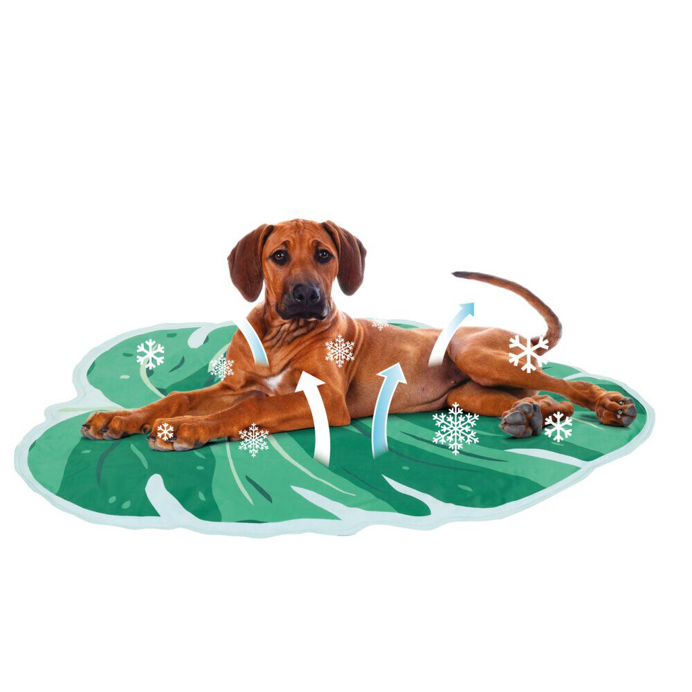 Tapis rafraichissant PVC vert pour chiens et chat 80x60cm