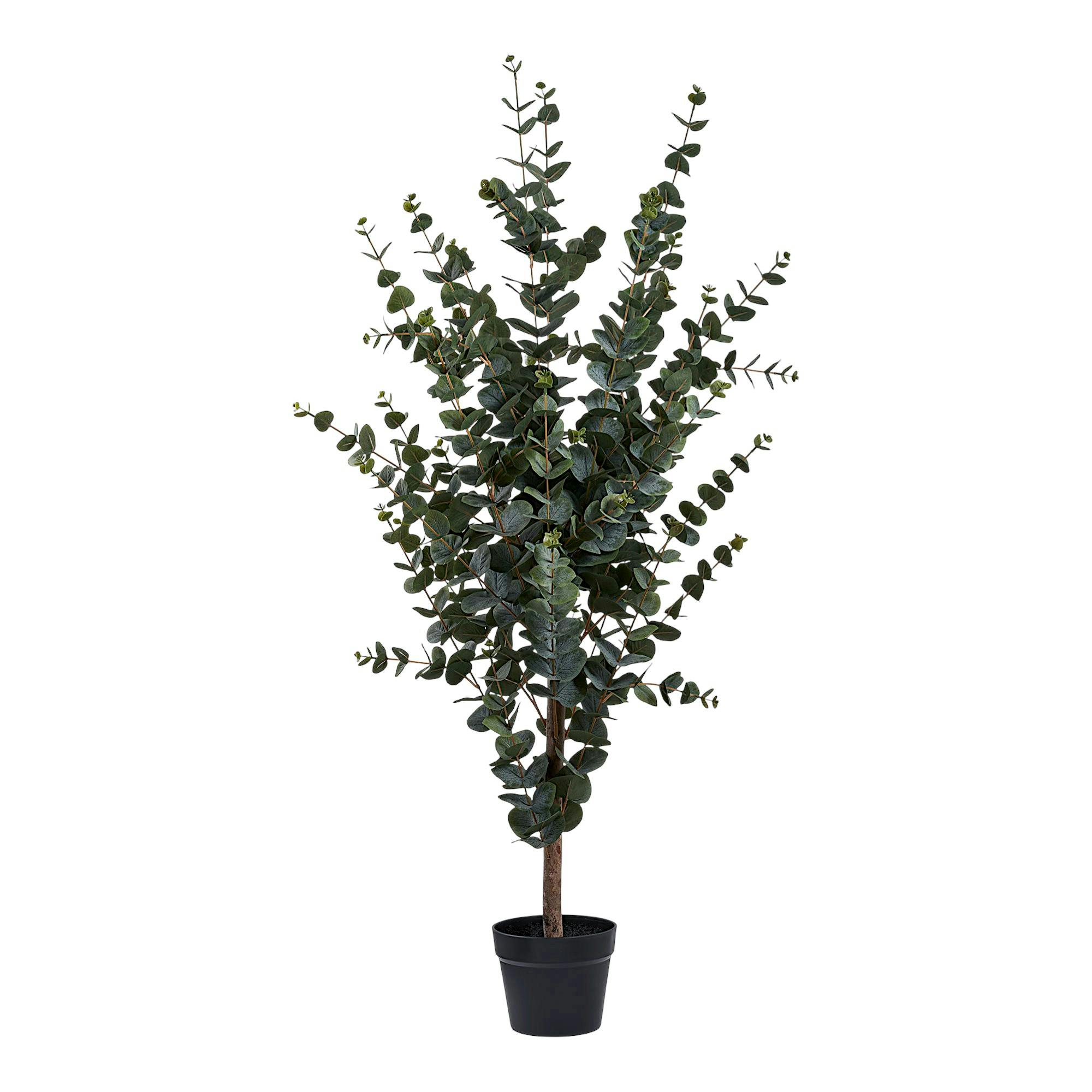 Eucalyptus artificiel en pot