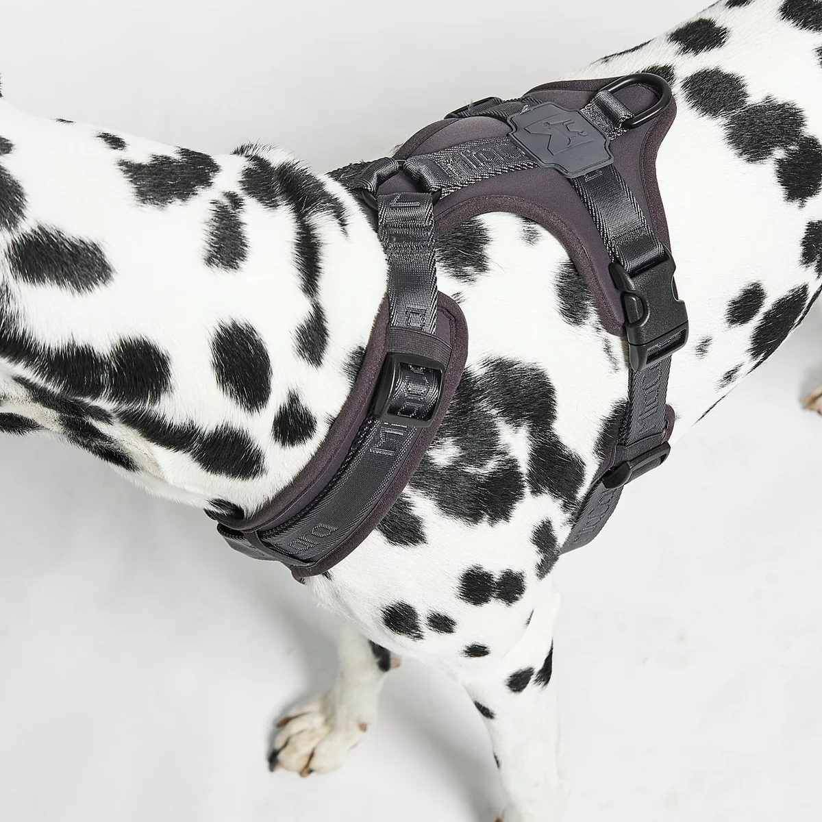 MiaCara - Modena Hundegeschirr