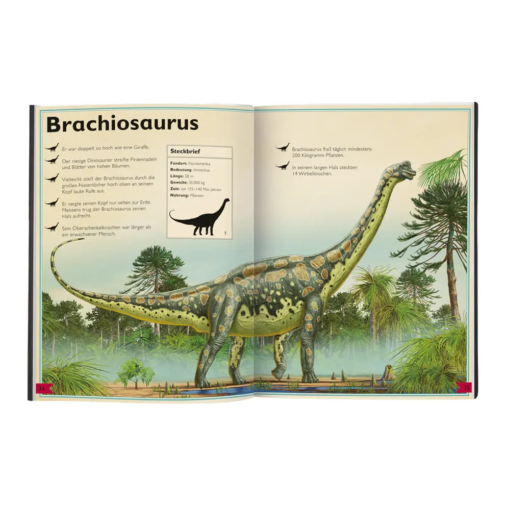Kinderbuch Buch