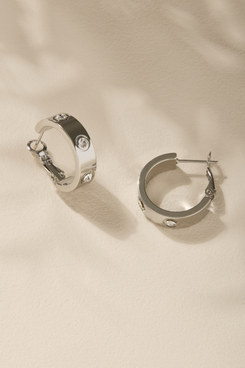 Paula Stainless Steel Silver Hoop Earrings
