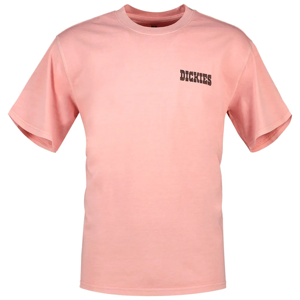Dickies Buchtell short sleeve T-shirt