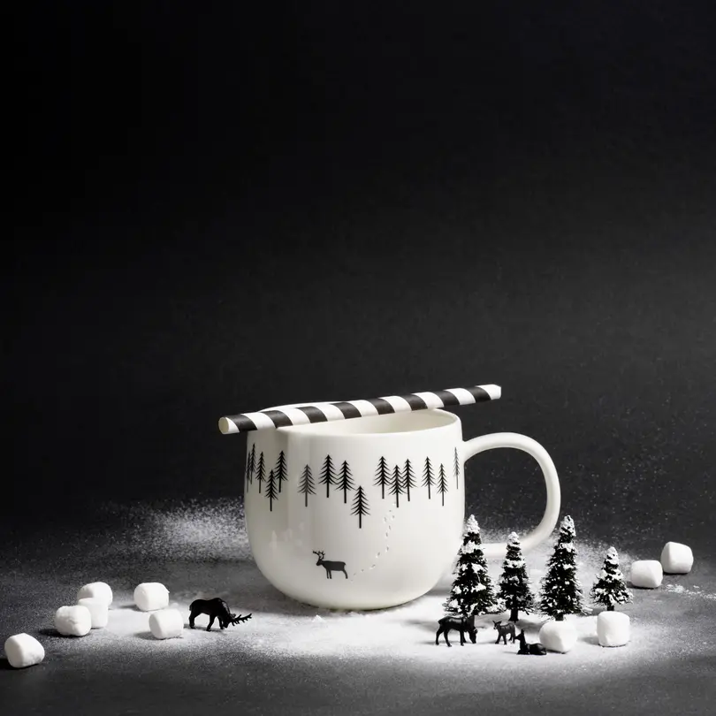 Becher Snow Tracks