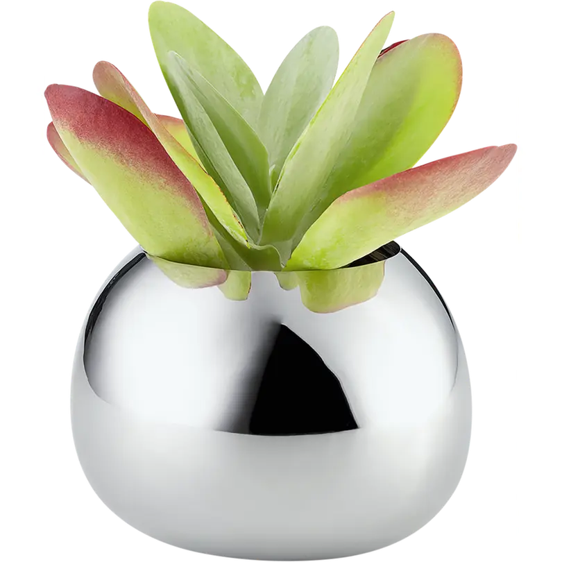 Vase BELLA