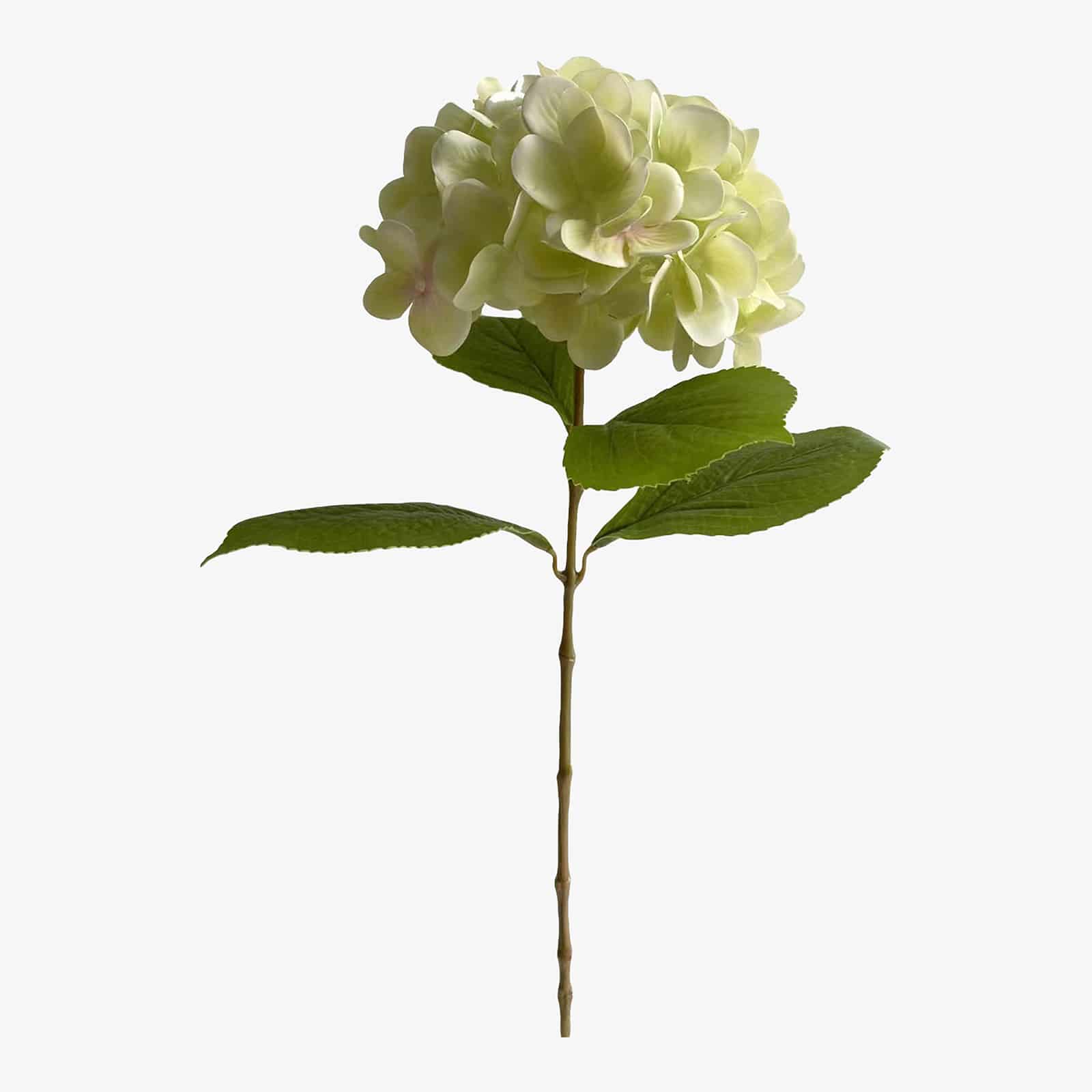 Kunstblume Hortensie Creme,L 600 mm