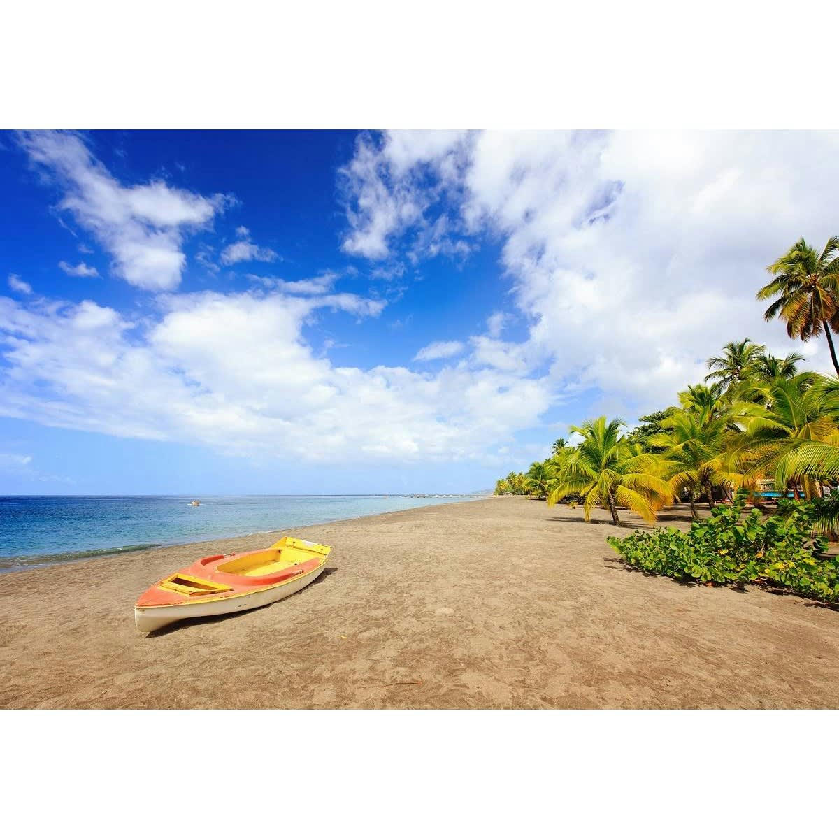 PLAGE - Tableau sur toile plage Anse Macabou Martinique 65x97 cm