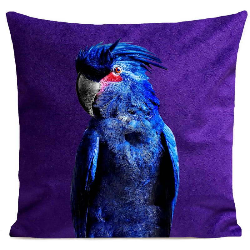 - Coussin perroquet velours violet 40x40cm