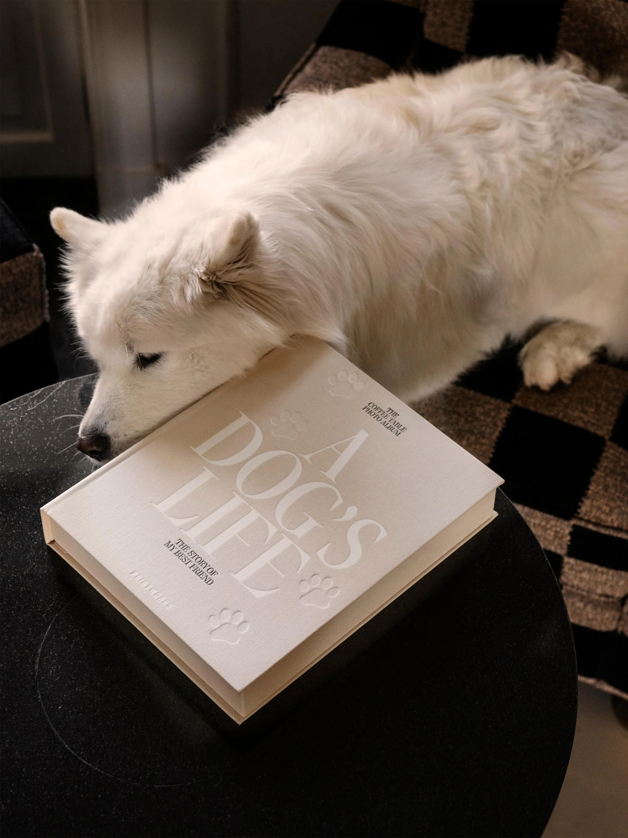 Fotoalbum A Dog's Life