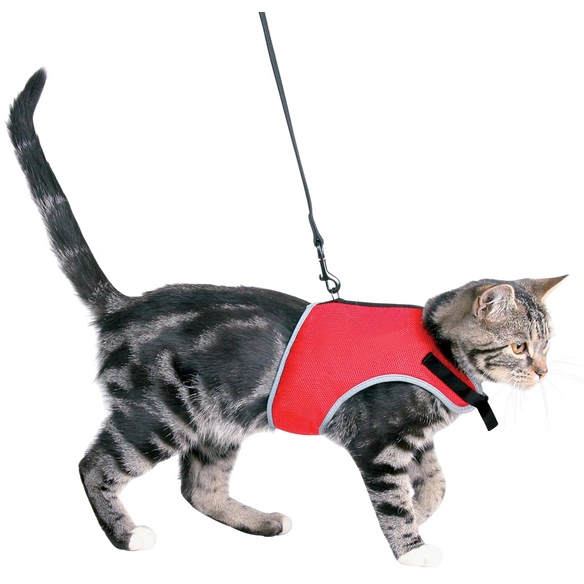Katzengeschirr »XCat«, Bauchumfang: 24 – 4 rot