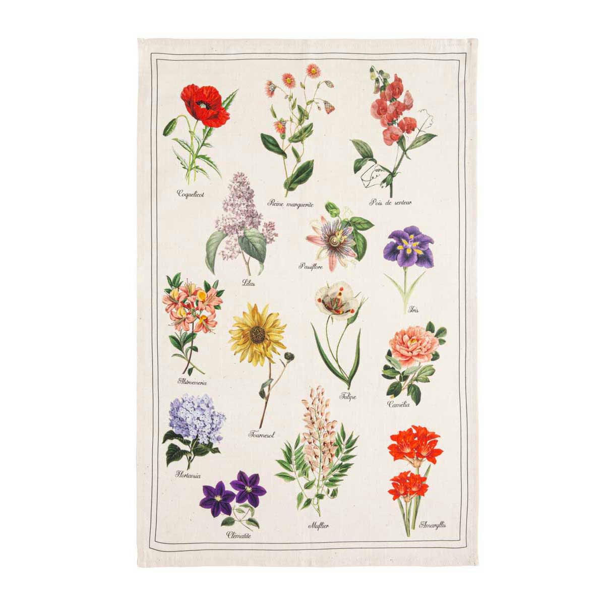 HERBIER - Torchon en métis multicolore 50x75