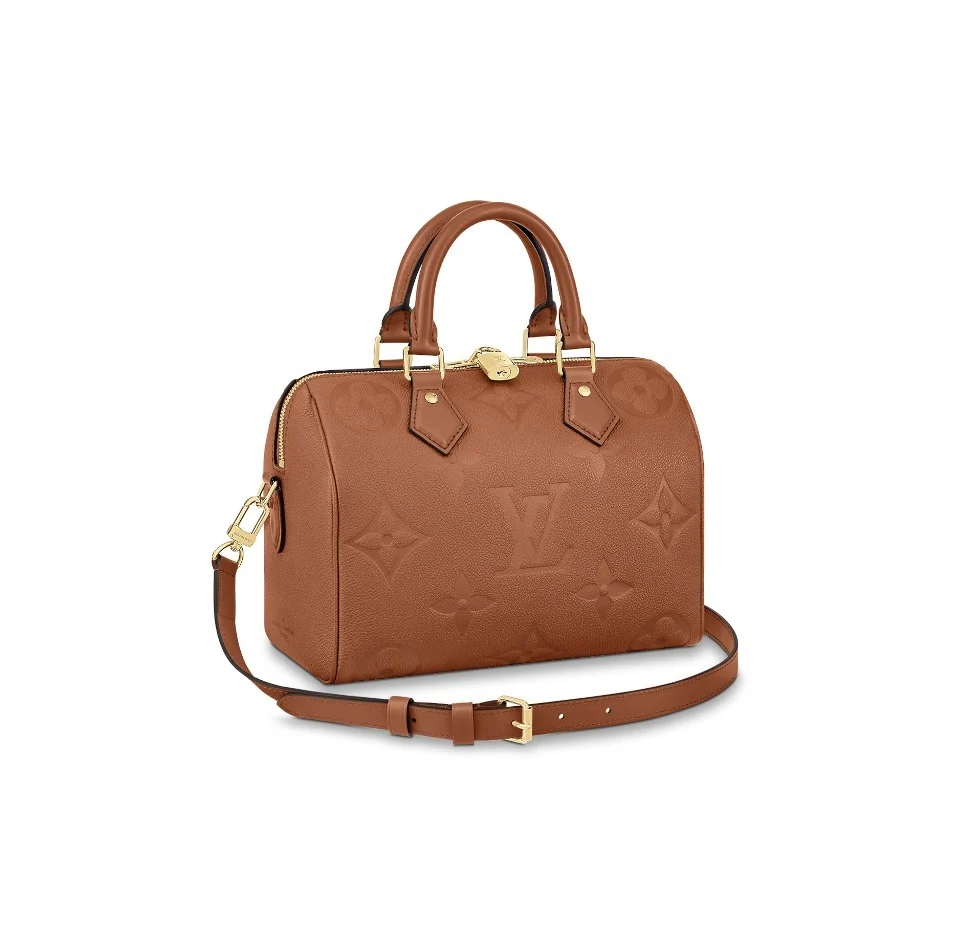 Louis Vuitton LV Speedy 25