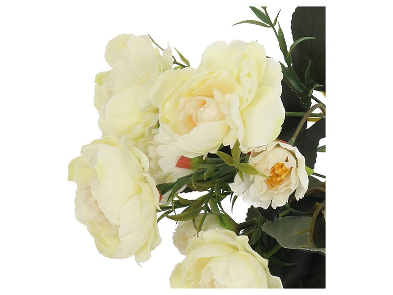 Peonia bukiet biały