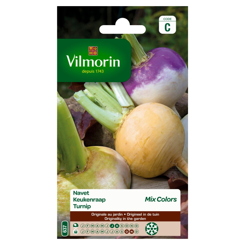 Semences de navet Mix Colors VILMORIN