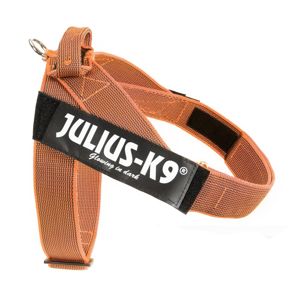 Julius-K9 IDC® Color & Grey Harness - Orange/Grey