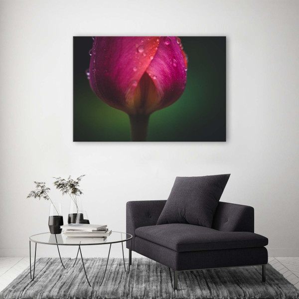Feeby Obraz na płótnie Pąk i rosa 60x40