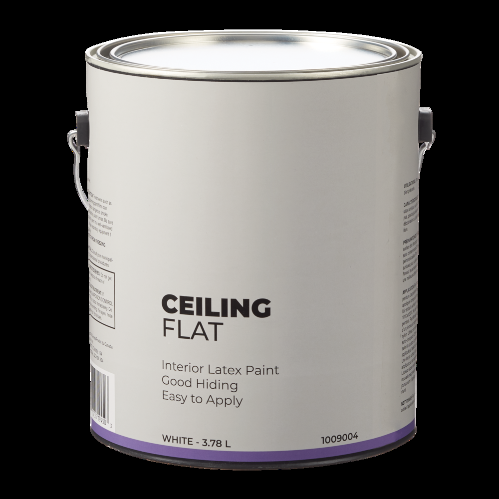 Interior Ceiling Latex Paint, Flat, White, 3.78-L/1-Gallon