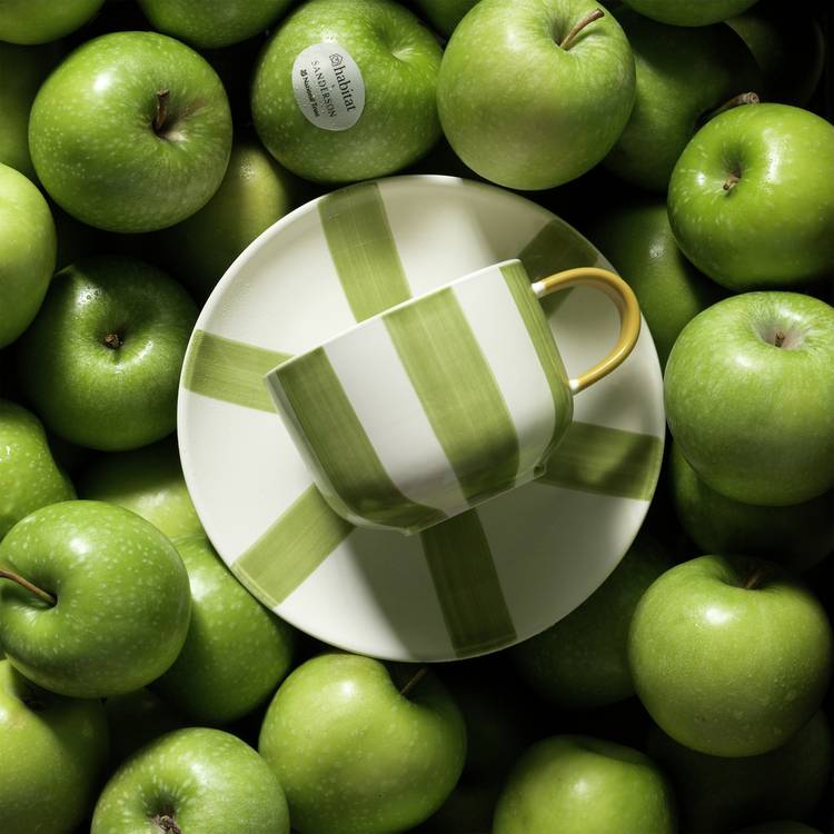 Habitat x Sanderson & National Trust Teacup & Saucer