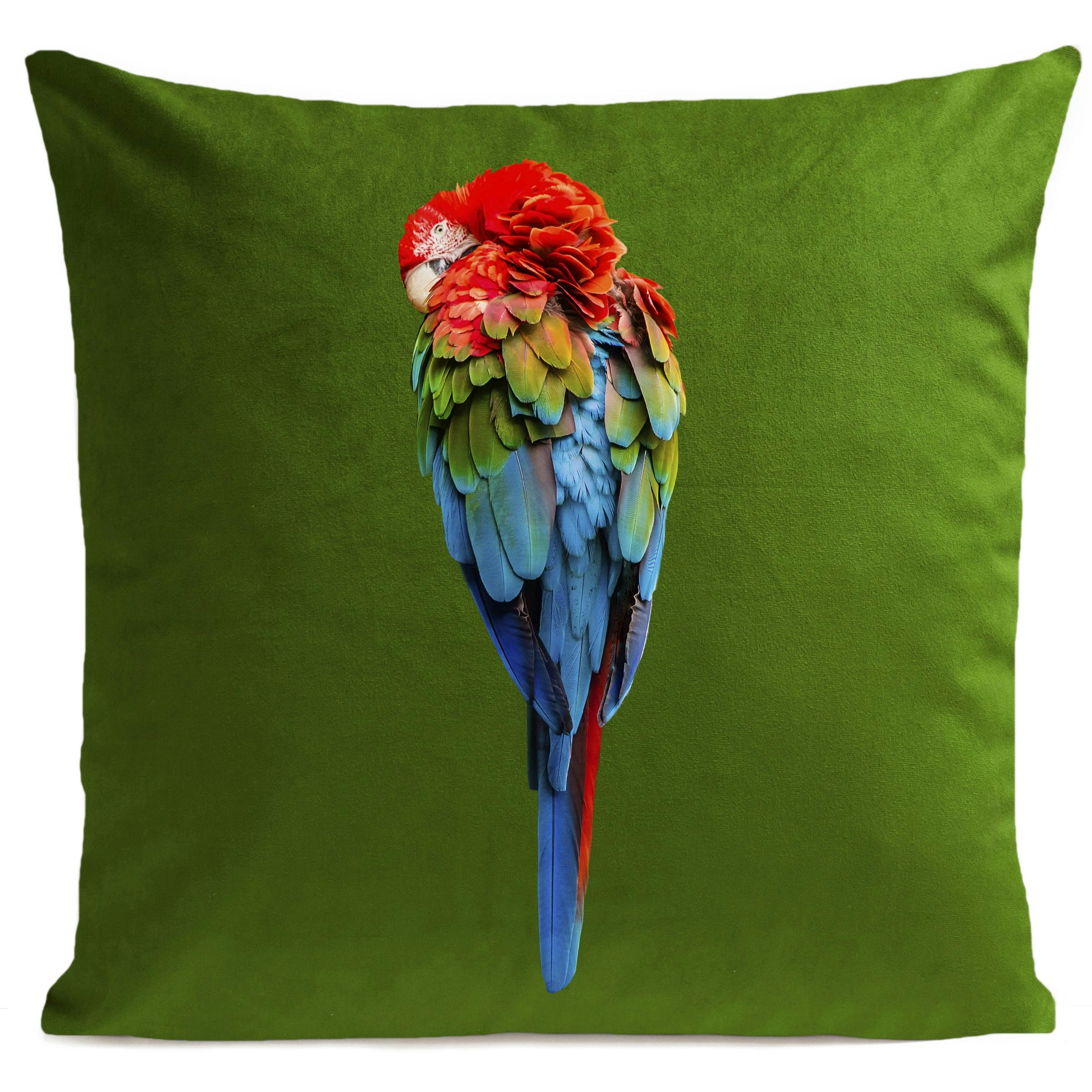 - Coussin tropical perroquet suédine vert 40x40cm