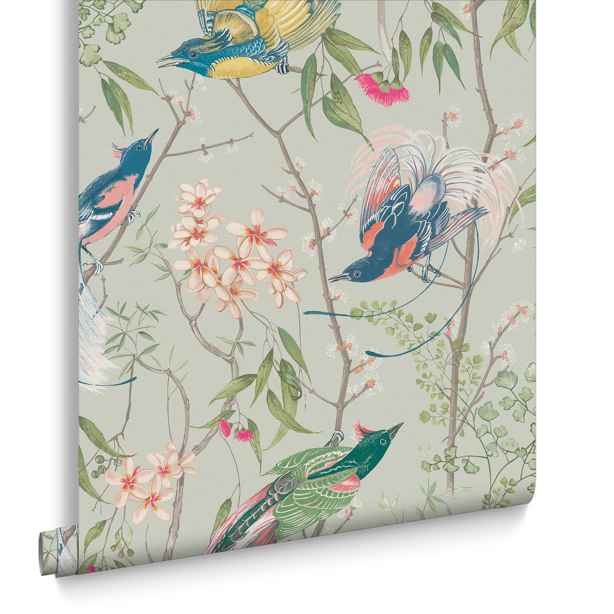 Graham & Brown Vliesbehang - Clavering Birds Morning Sage - 1000x52
