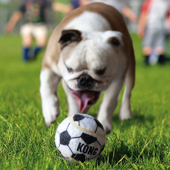Hundespielzeug, mehrfarbig