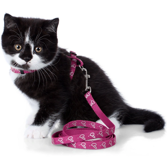 Welpen- und Katzengarnitur »by Laura«, für Katzen, Polyester/Kunststoff/Metall, pink
