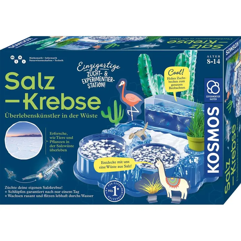 Spielset Kosmos