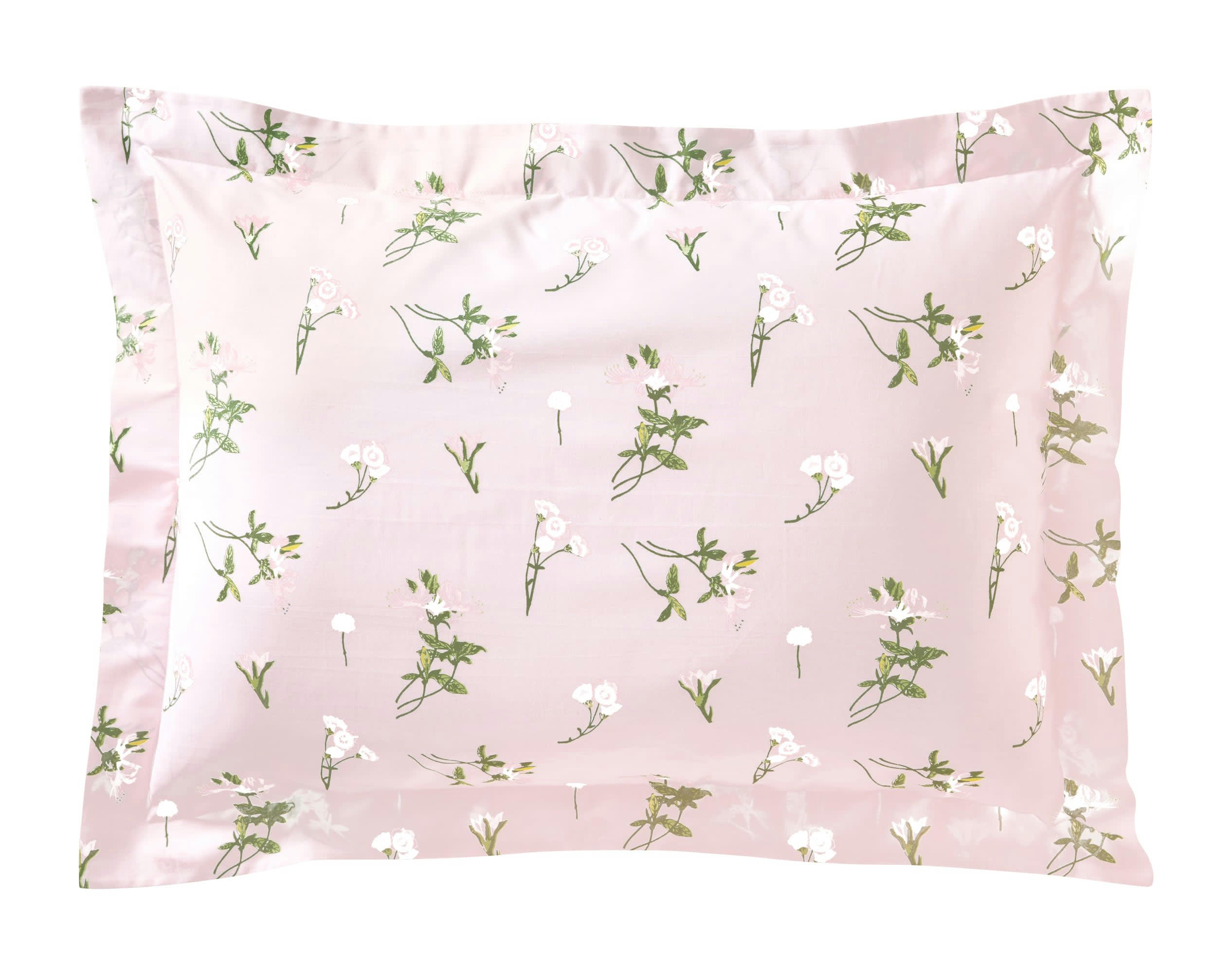 AZALEE - Taie d'oreiller 50x70 blanc en coton