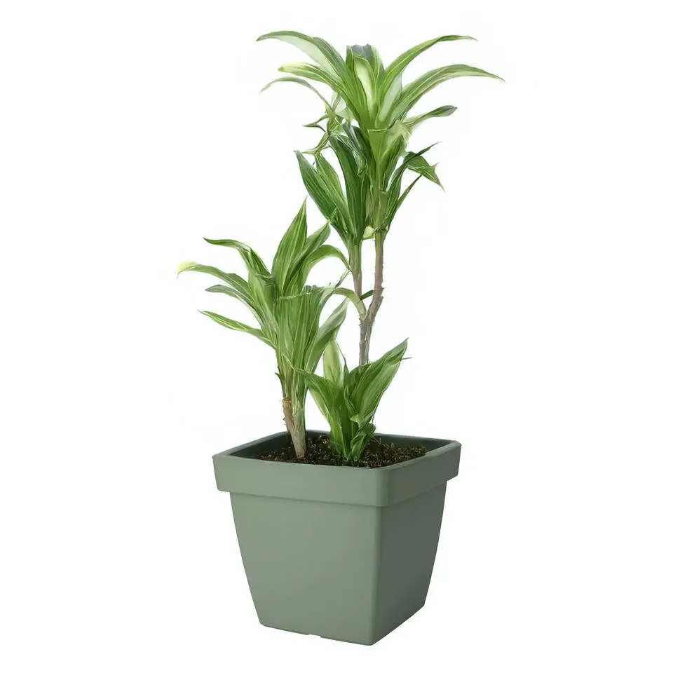 Pro Garden Plantenpot - groen - D39 x H35 cm - kunststof