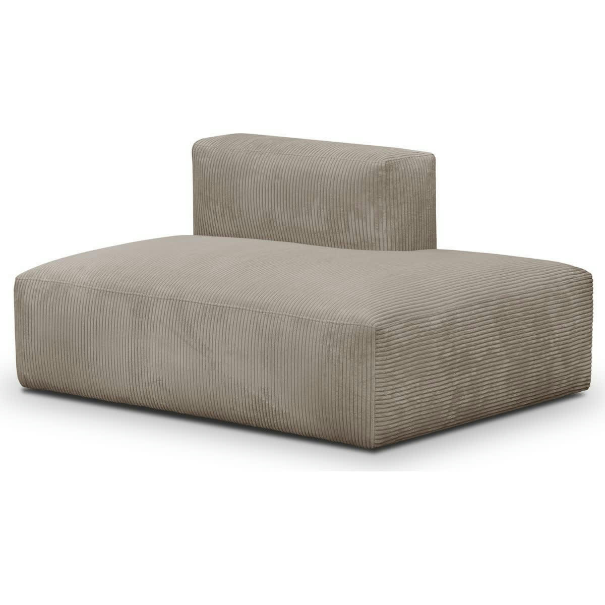 MODULO NEW - Module d