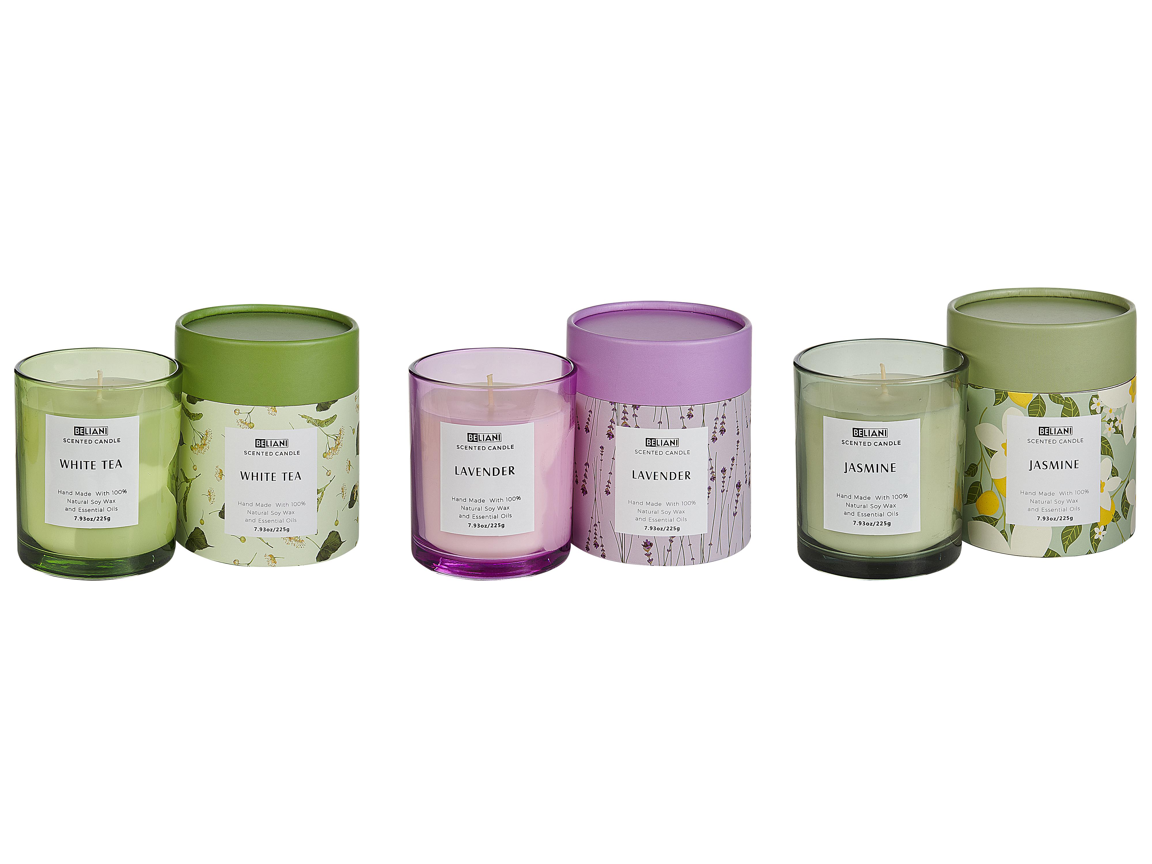 Set of 3 Scented Candles COLORFUL BARREL Soy Wax Fresh Notes Floral Notes