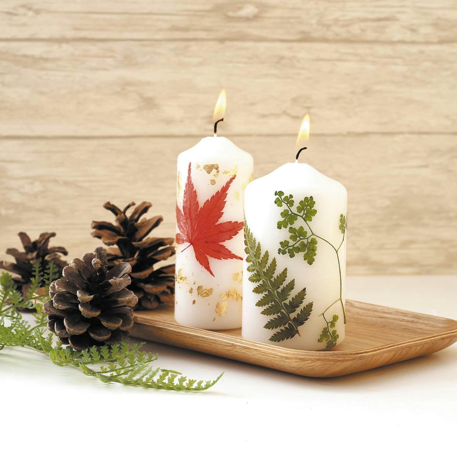 - 15 fleurs pressées - forêt 1