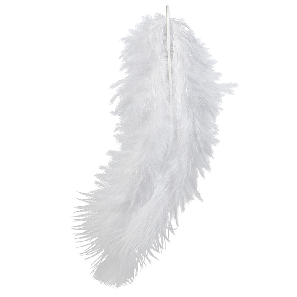 Plume blanche x10