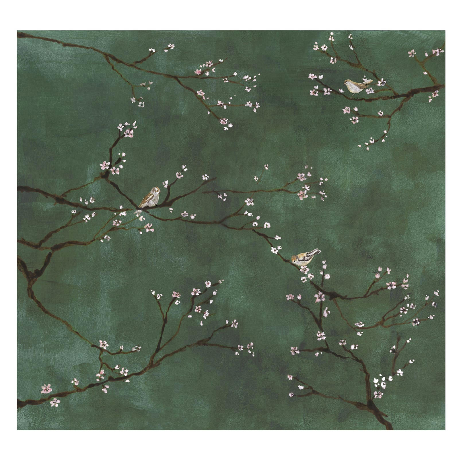 - fresque panoramique cerisiers japonais oiseaux vert 300x280cm