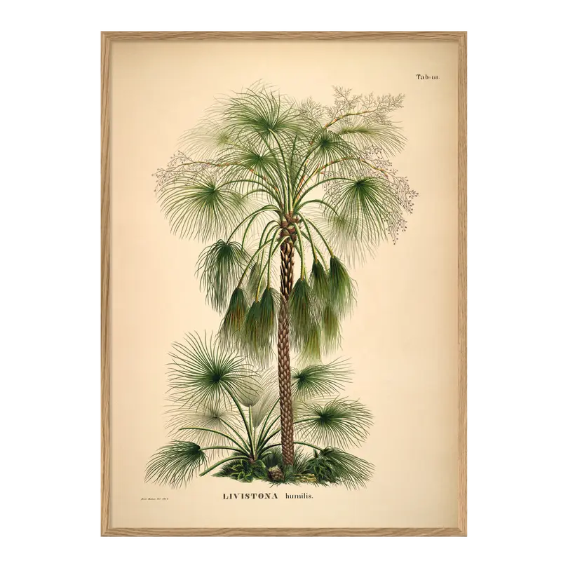 Bild mit Rahmen Botanical