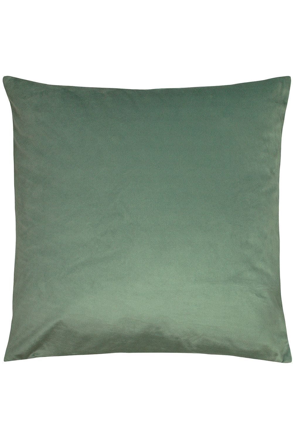 Paoletti Jungle Parade Floral Printed Cushion