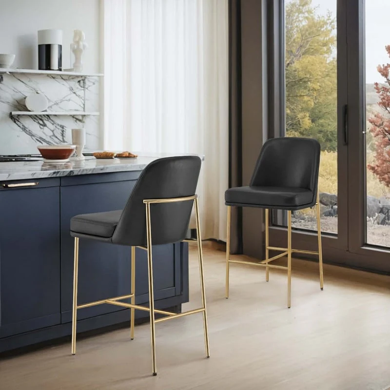 Evelyn Modern 27 inch Counter Height Bar Stool Set of 2