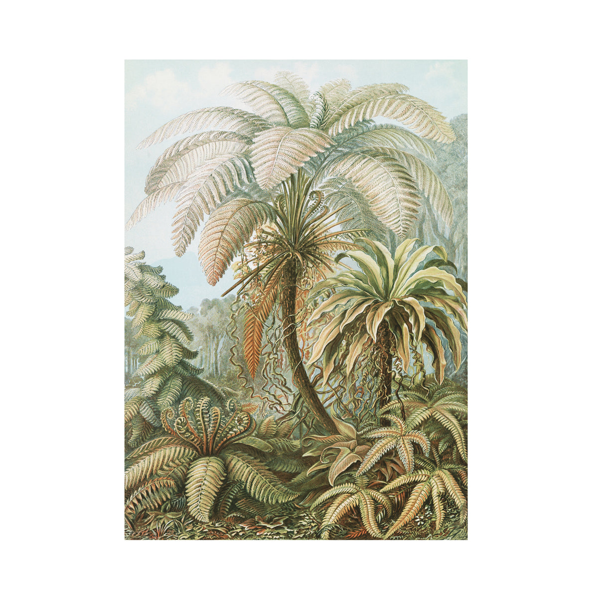 Superfresco Easy Fotobehang - Jungle Filicinae - 280x200cm