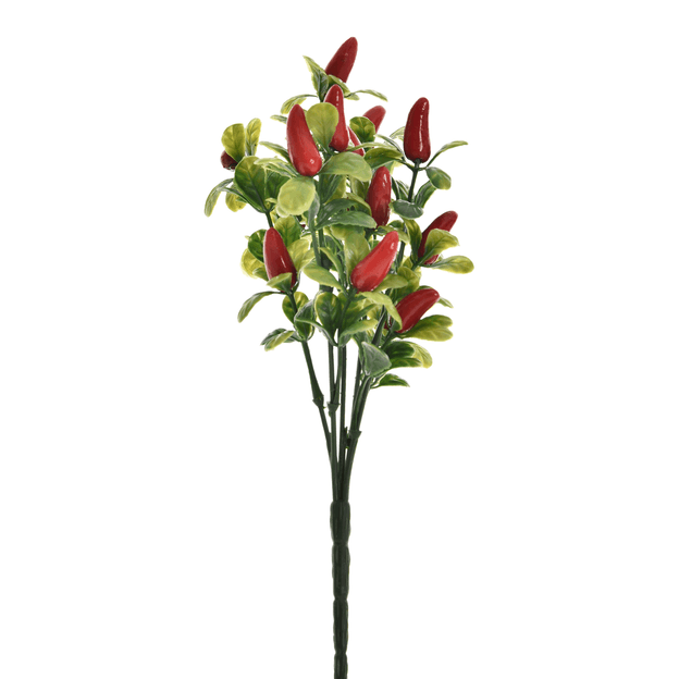 BOUQUET DE PIMENTAS